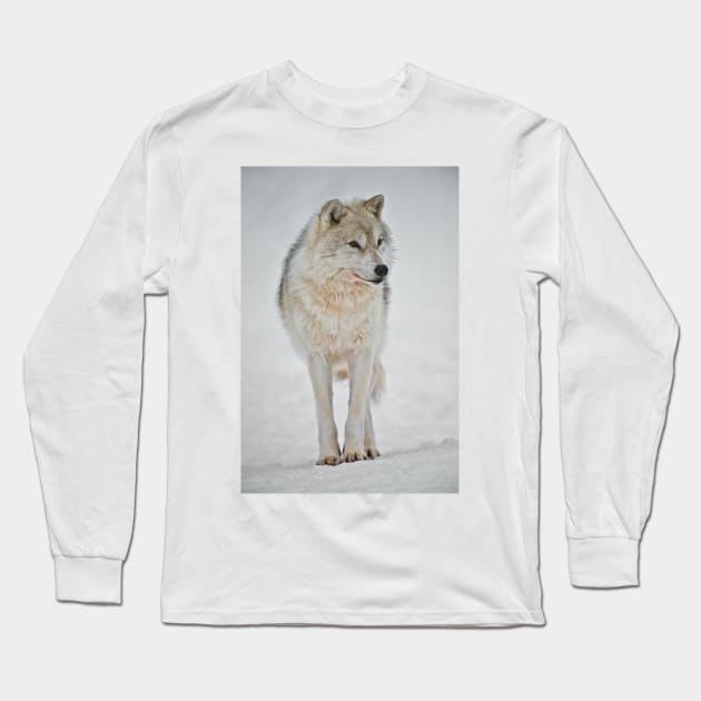 Arctic Wolf Long Sleeve T-Shirt by jaydee1400